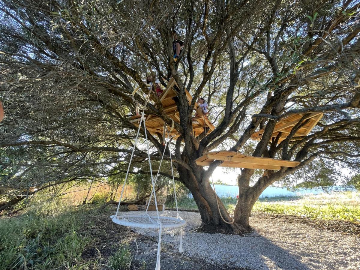 Tranquilo Glamping Otel Hozanejos Dış mekan fotoğraf