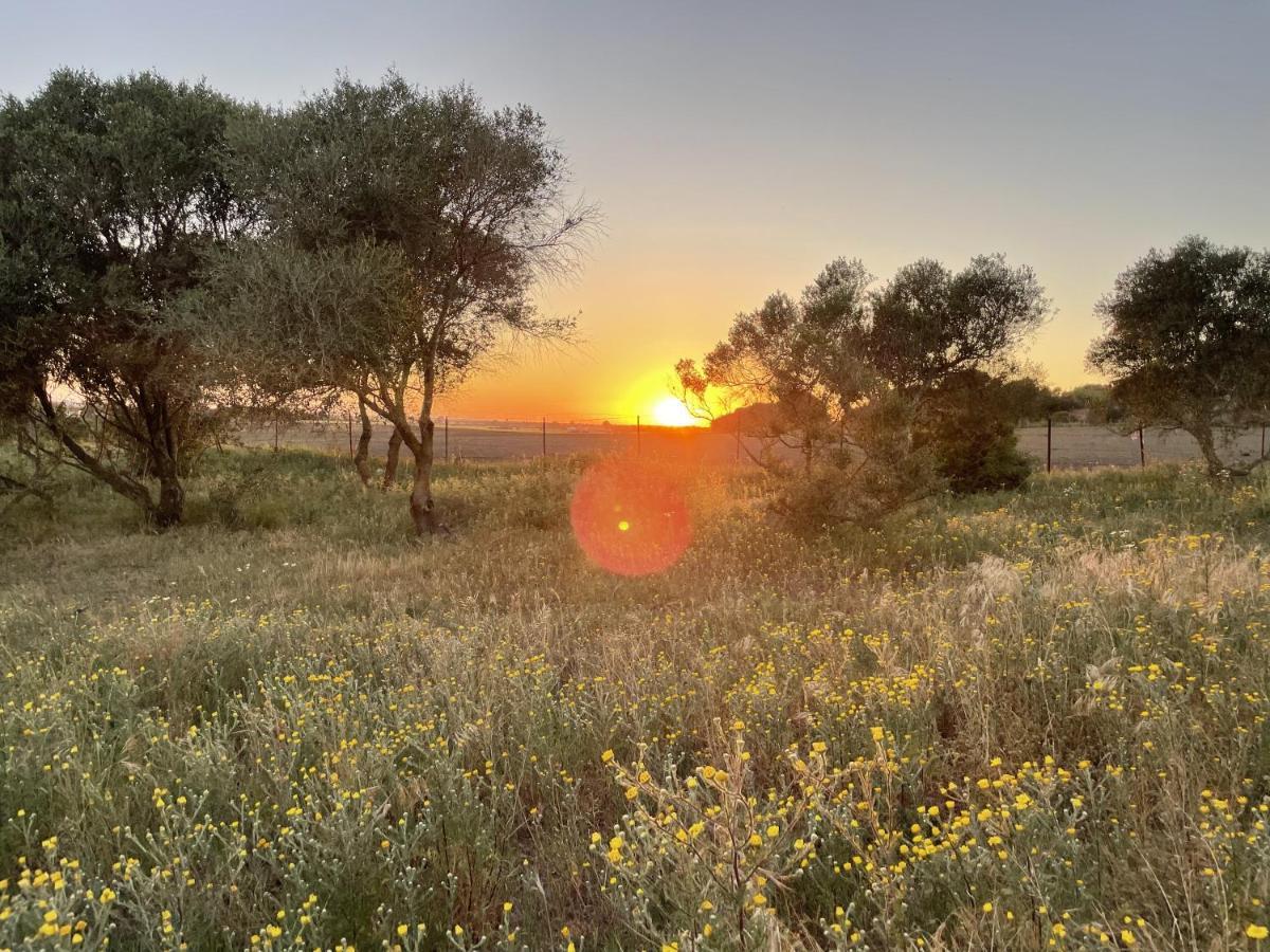 Tranquilo Glamping Otel Hozanejos Dış mekan fotoğraf
